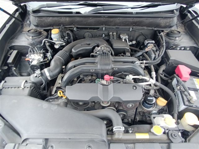 08.jpg