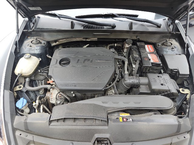 lotterental_224445519_0LwXM_10.jpg