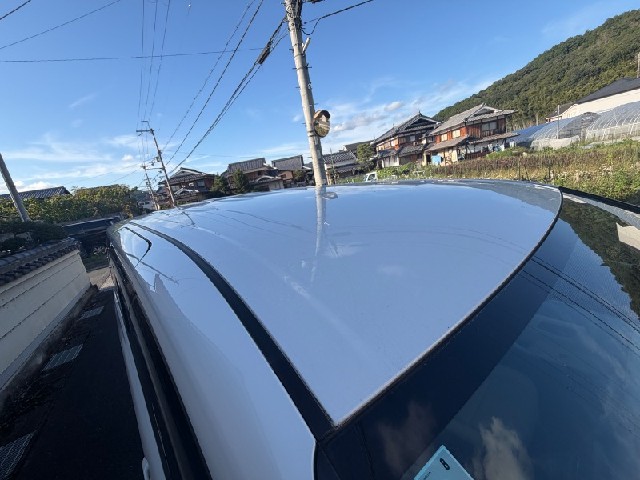352bcefd63f54d761487d866cc12232b.jpeg