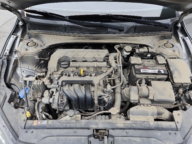 lotterental_150647384_05g7b_2.jpg