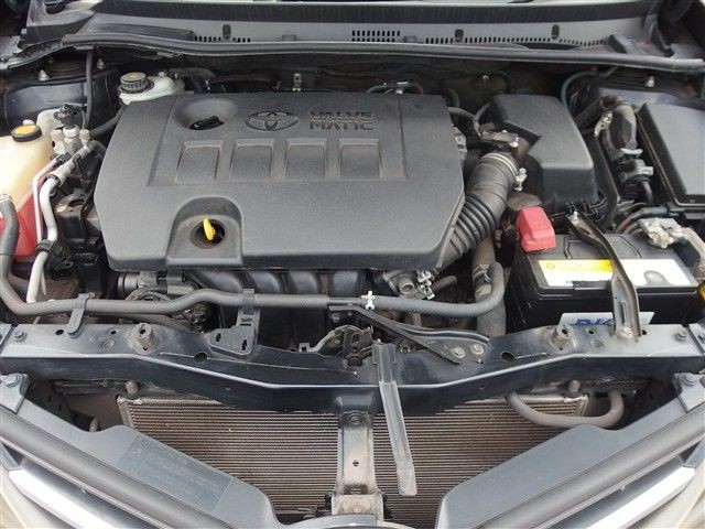 08.jpg