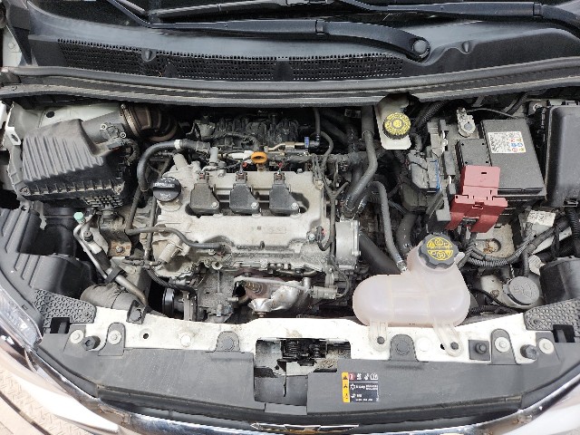 lotterental_215936490_zfqgf_8.jpg