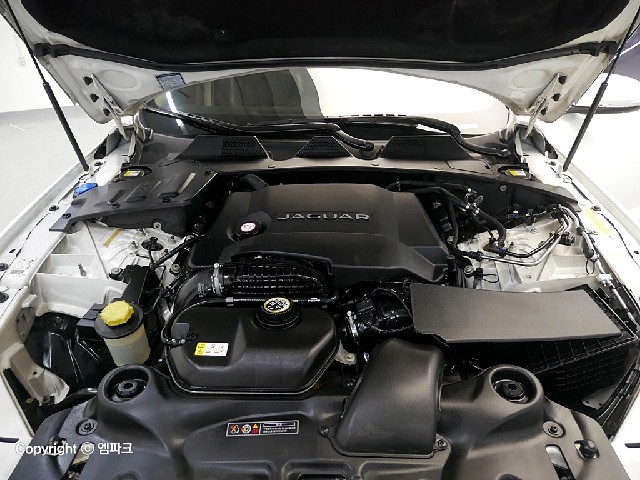 4021502000R5.jpg