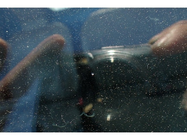 5d74a407915e28dd1d2b311f015cf978.jpeg