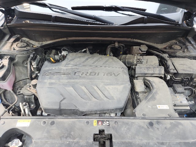 lotterental_164846665_TGLfZ_8.jpg