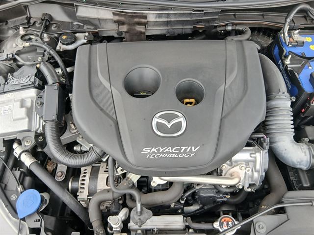 08.jpg