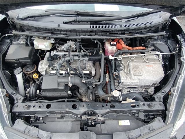 08.jpg