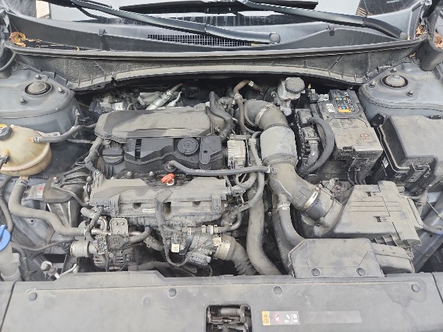 lotterental_135111796_IEkOw_9.jpg