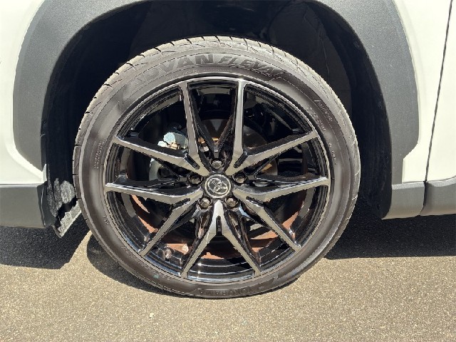 f10b58474c1fa272ef12038c4b3b0bdc.jpeg