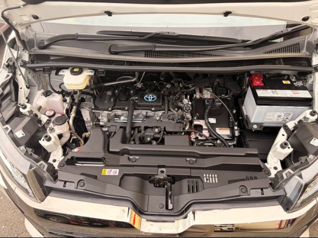 181dc5fe60e3c3423dd0fae5cc5062bd.jpg