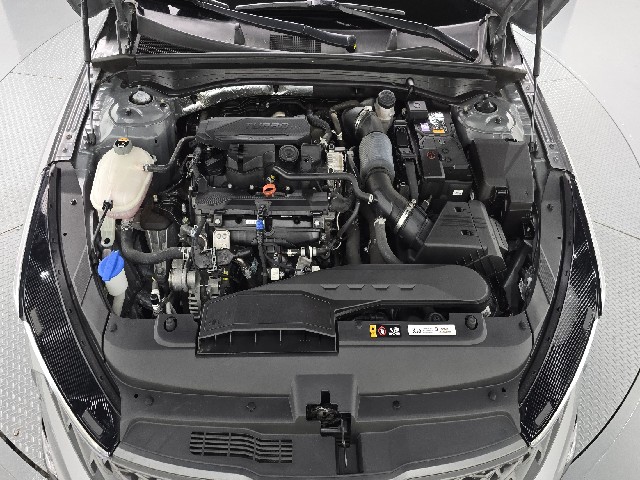b3708d15af21433e5fca76278dc6e082.jpeg
