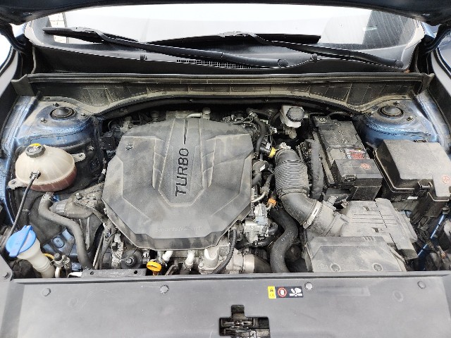 lotterental_00052263_PuReP_10.jpg