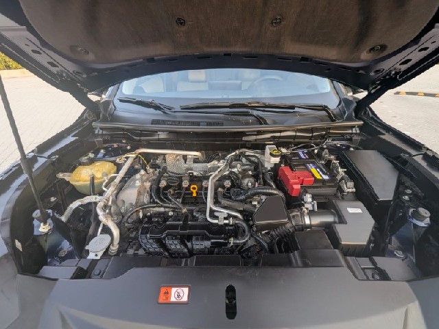 ab7da02ba2377eaec7c0f1ff65323471.jpeg