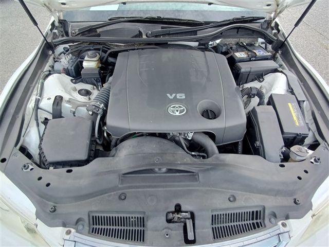 08.jpg