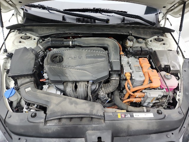 lotterental_112258532_T7gxO_1.jpg