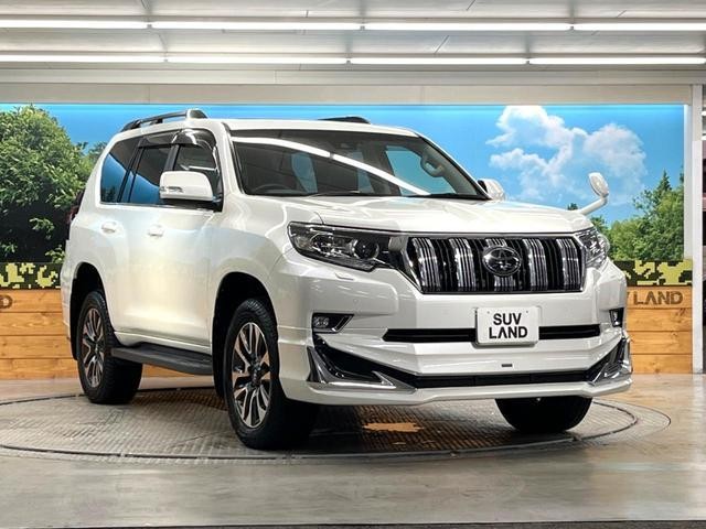 26491313_carP_l_12.jpg