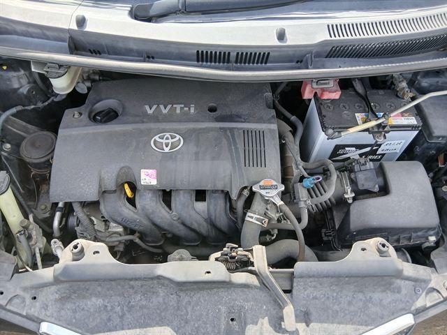 08.jpg