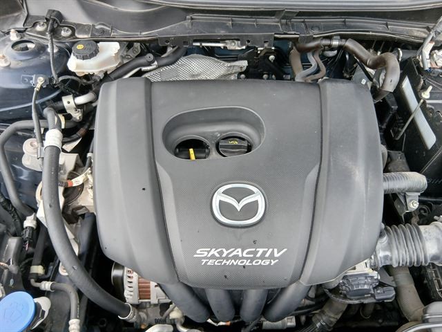 08.jpg