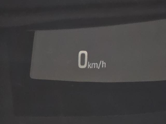 3ef9093e808d48d18fb4e4e9d5b8d64d.jpeg