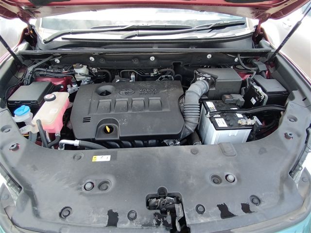 08.jpg