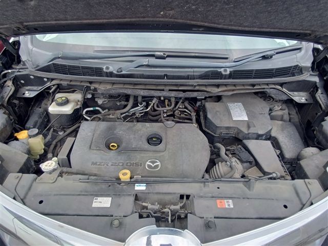 08.jpg