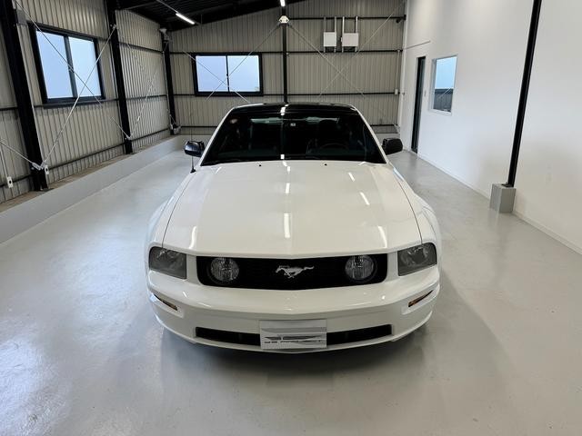 9540060A30260918W00103.jpg