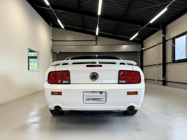 9540060A30260918W00106.jpg