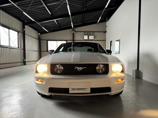 9540060A30260918W00117.jpg