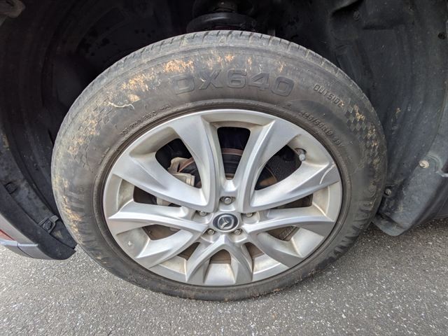 20.jpg