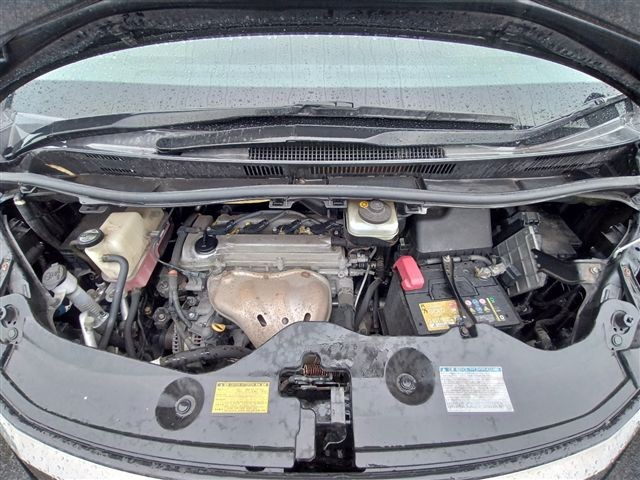 08.jpg