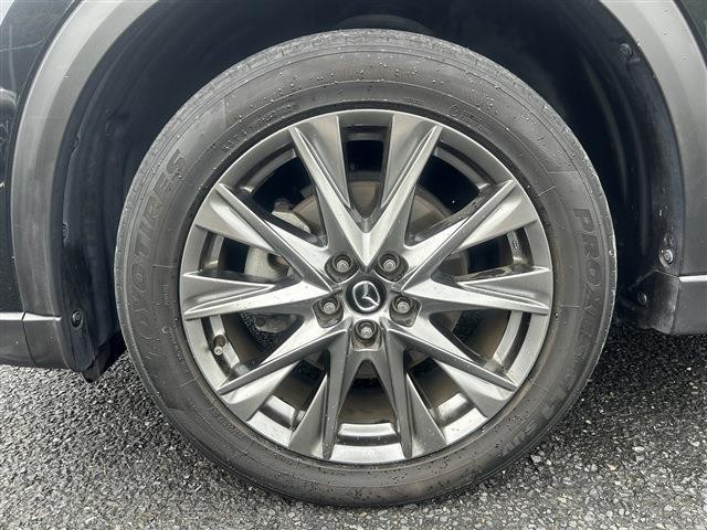 0d25f9d7fbdea431bc9077552d400950.jpg