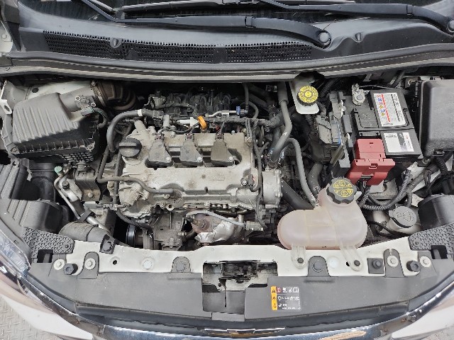 lotterental_223538827_1P3oU_9.jpg