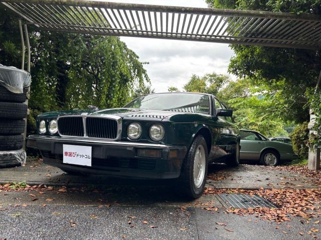 9bfaaa482f0227cf0fefa92f455d9466.jpg