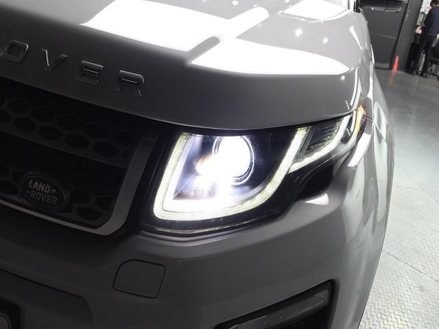 43681d5353be66cc2e9cd878c401fcf8.jpeg