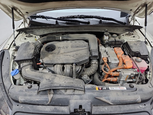 lotterental_212038545_PtB7b_8.jpg