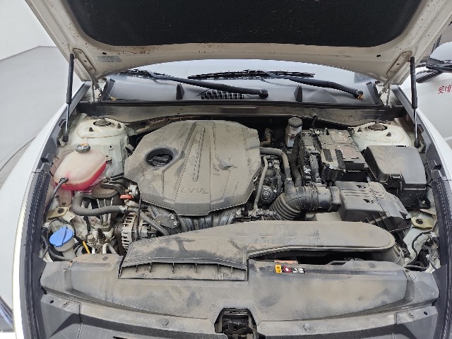 lotterental_212038898_MkbUf_7.jpg