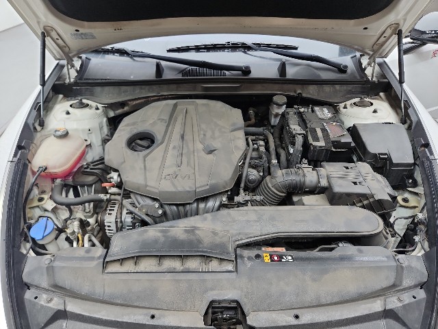 lotterental_21092854_gYrjc_8.jpg