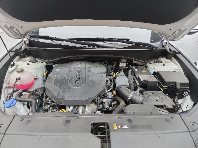 lotterental_142940713_QpyvI_7.jpg