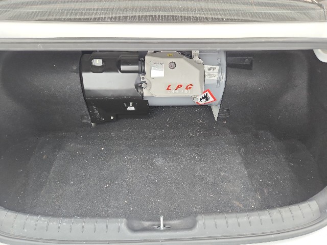 lotterental_22065058_iMF28_5.jpg