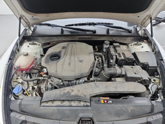 lotterental_141753696_bVgXL_8.jpg