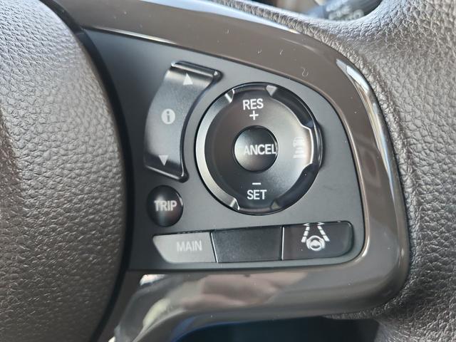 0600275A30250117W00117.jpg