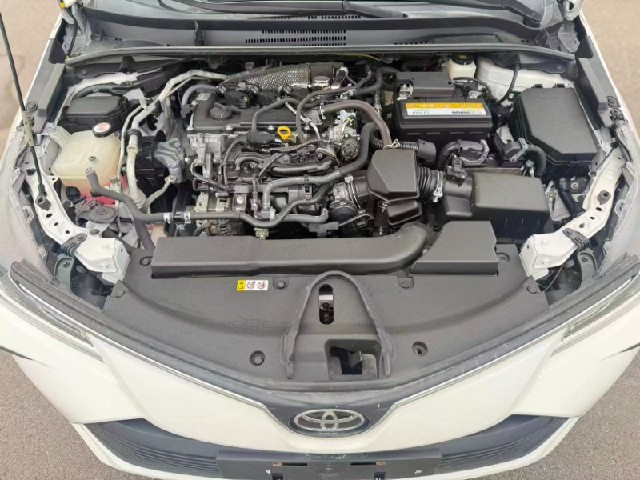 fe902372ef04a0ced096477387bf2bfa.jpeg