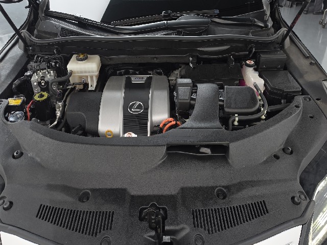 5549f250f59b499acce2f01a2e114209.jpeg