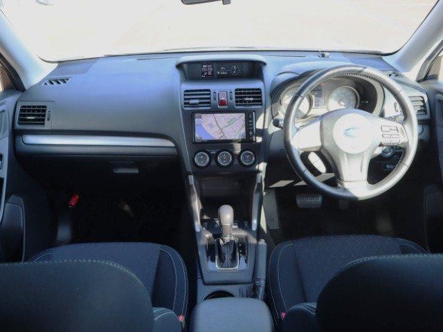 27072949_carP_l_5.jpg