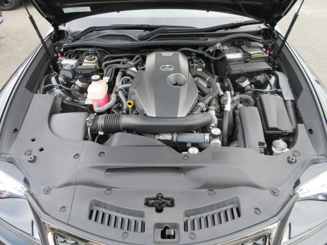 26528894_carP_l_17.jpg