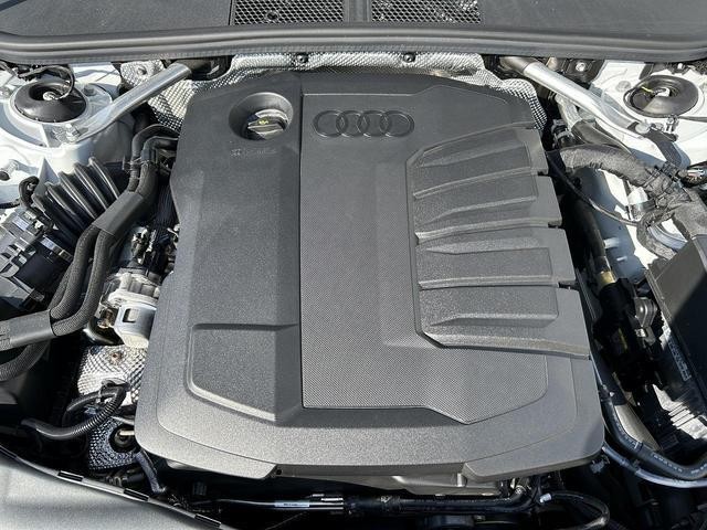 27067367_carP_l_12.jpg