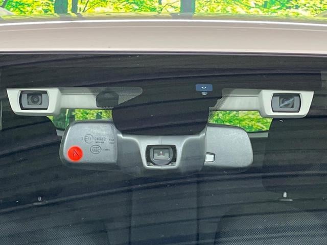 18055861_carP_l_10.jpg