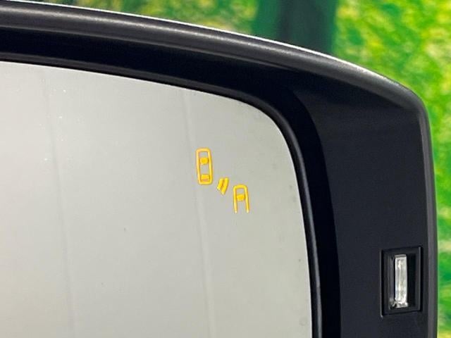 18055861_carP_l_13.jpg