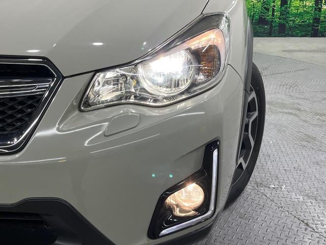 18055861_carP_l_6.jpg