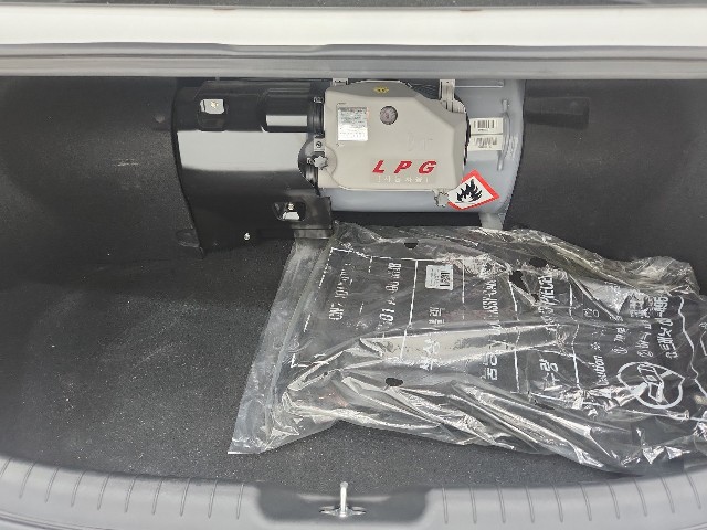 lotterental_094459519_Cwzfj_4.jpg